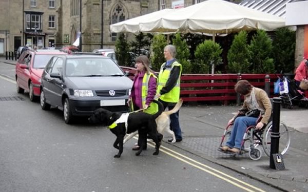 Sainsburys Bollards - Sue Walker, Lizzy Martin and Alison Salmen Sainsburys Bollards - Sue Walker, Lizzy Martin and Alison Salmen