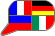 Translation icon